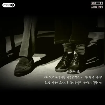 초속 5CM