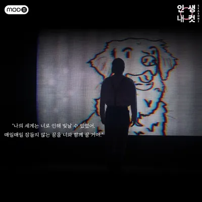 인생'내'컷 Season 2