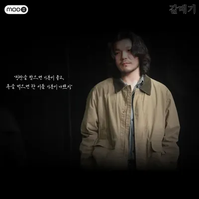 갈매기